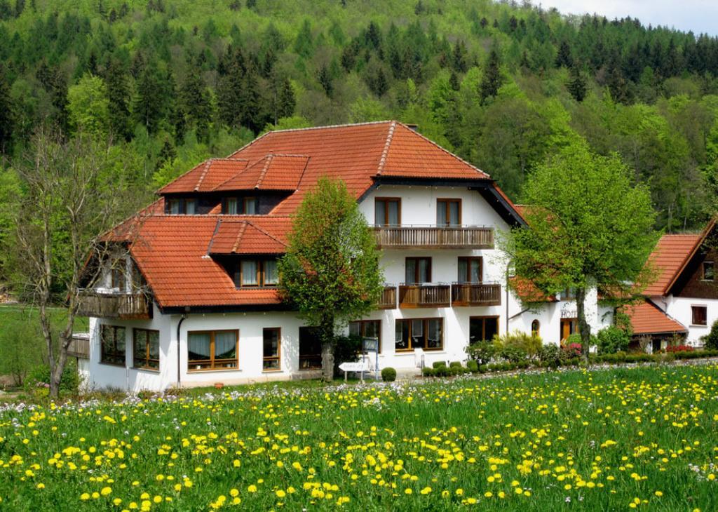 Rhoen-Hotel Sonnenhof - Restaurant & Cafe بوبنهاوزن المظهر الخارجي الصورة